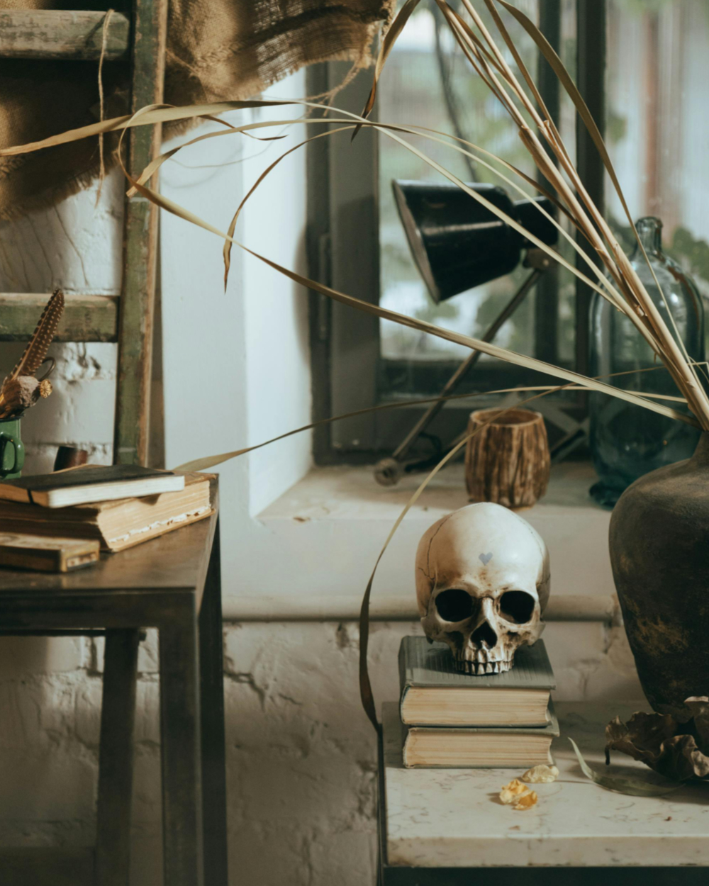 Stacks of books with a skull a dead plant.